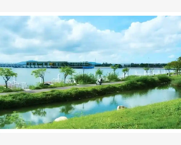 MT4信号线与主线差异及买卖触发机制详解_交易终端窗口的布局与实用功能