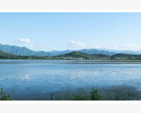 MT4交易与账户历史不同步刷新解决技巧_切换后验证账户类型与数据一致性