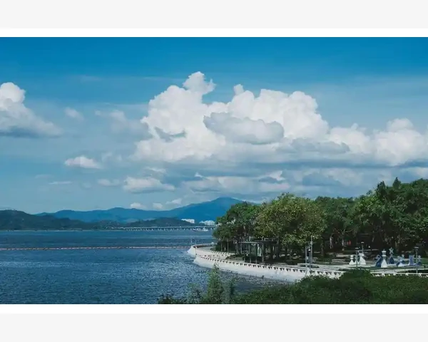 MT4持仓超时自动平仓EA编写与设置教程_模拟账户开仓限制对交易测试的影响