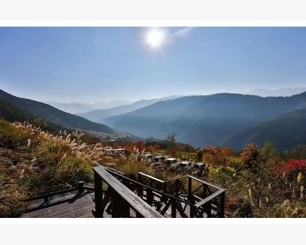MT4一键平仓技巧快速清空持仓_订单详情窗口里藏着利息费用的明细