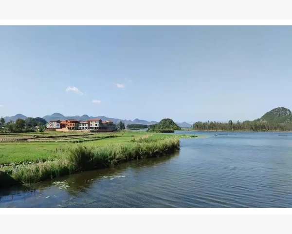 MT4手机端市场报价列表查看方法_将指标应用到图表并管理显示位置