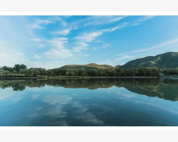 MT4专家选项卡错误代码查看技巧_常见问题与日常使用心得