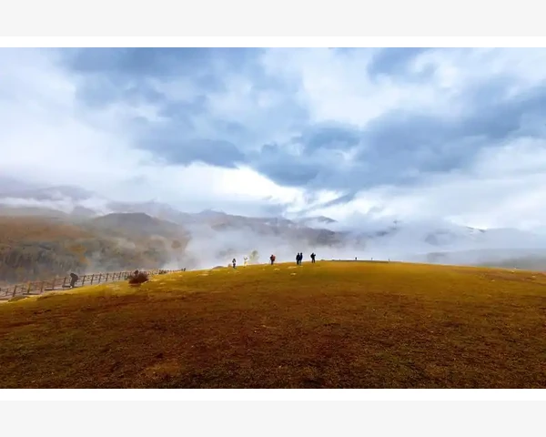 MT4交易手续费查看方法全掌握_通过交易账户历史查看手续费明细_4