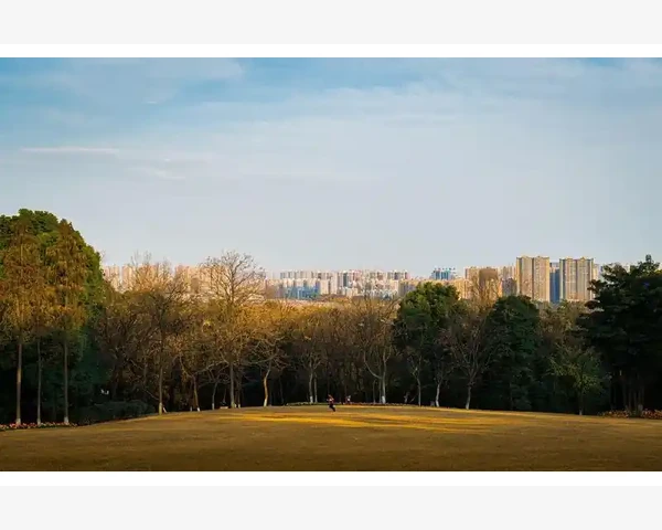MT4下单失败常见原因与解决办法_账户状态与资金不足导致订单被拒_1