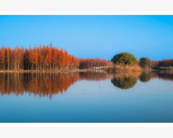 MT4交易密码遗忘后快速找回方法_时间差测量的实用方法