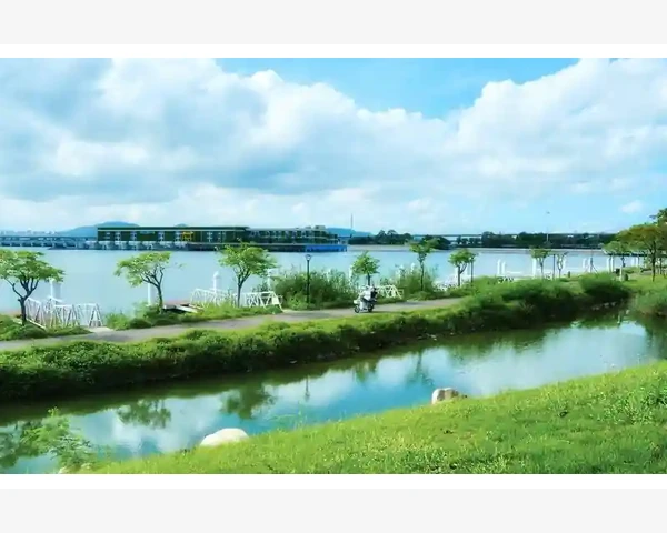 MT4交易报告生成全流程手动操作详解_应对风控限制的替代策略与注意事项