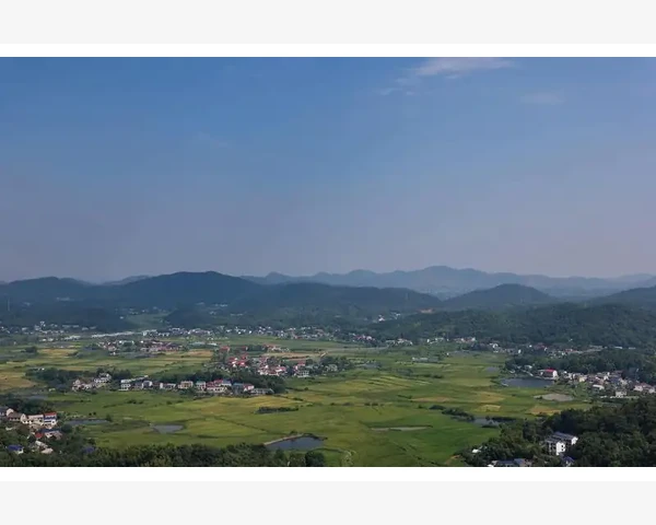 MT4出金操作真相与正确办理流程_利用菜单选项精确控制窗口位置