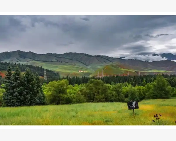 MT4一键交易止损止盈快捷键设置与使用技巧_一键交易功能的开启步骤与前置准备_1