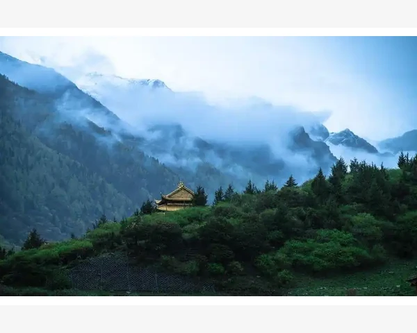 MT4一键加载常用指标模板保存设置方法_利用图表模板实现快速切换