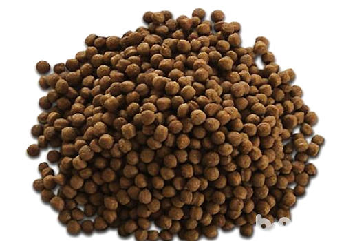 Feed the puppies What are the functions of dog food?