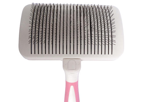 What should you pay attention to when using a pin comb for dogs-